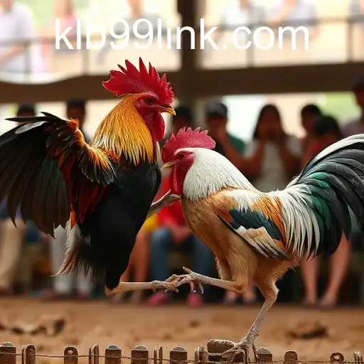 Exploring the World of Sabong Games with KLB99